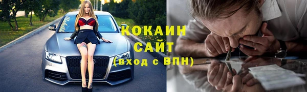 apvp Гусев