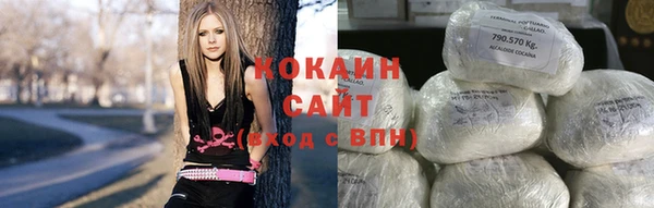 дурь Дмитриев