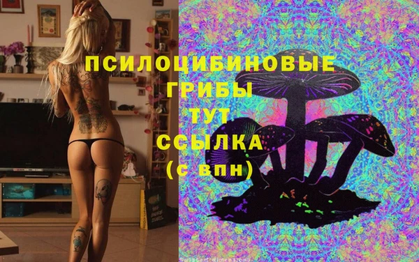 винт Гусиноозёрск