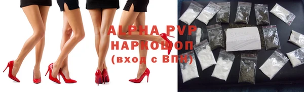 apvp Гусев