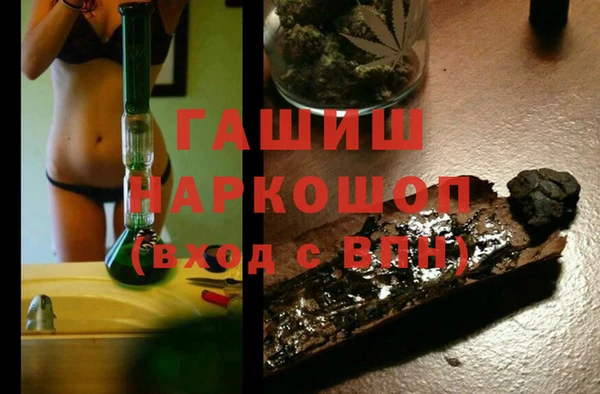 apvp Гусев