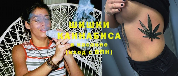 винт Гусиноозёрск