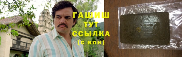 apvp Гусев