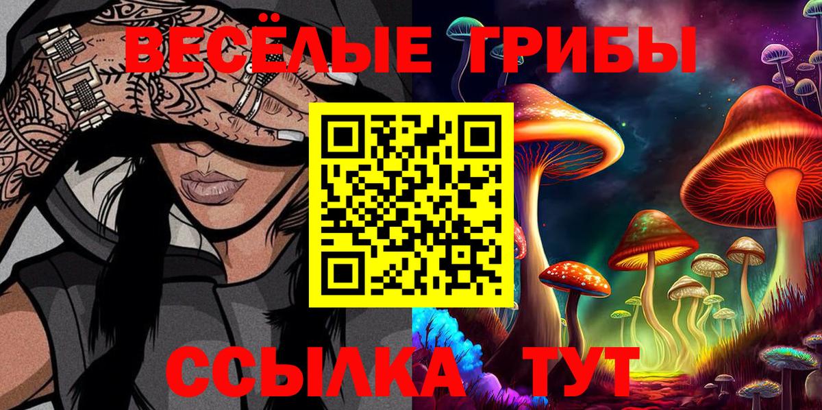 Мценск  Псилоцибиновые грибы Cubensis  Вход с VPN 