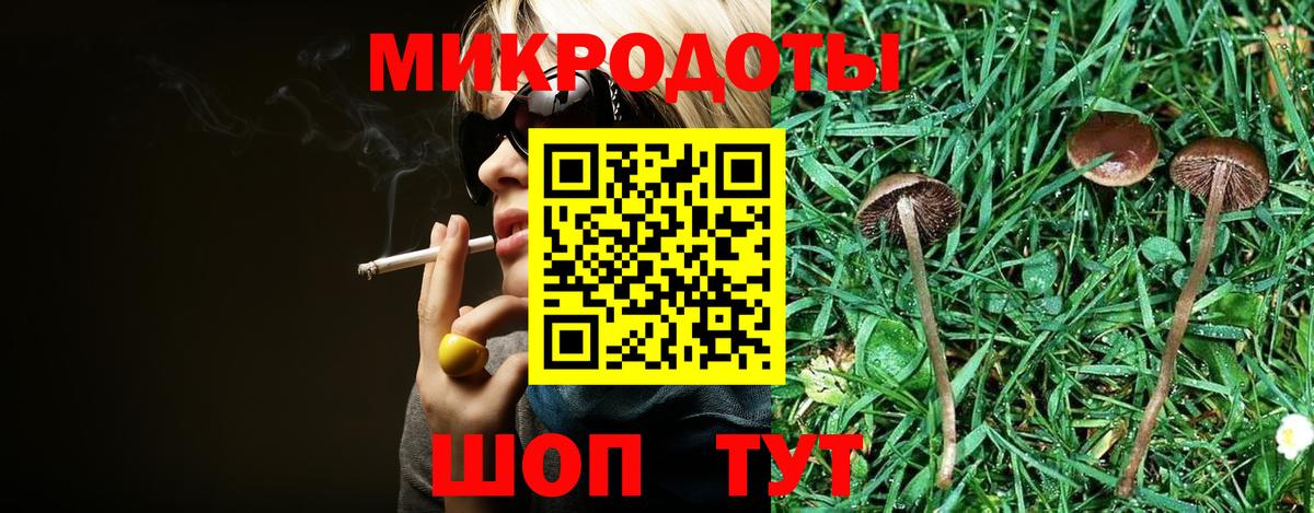 Псилоцибиновые грибы Psilocybe Мценск